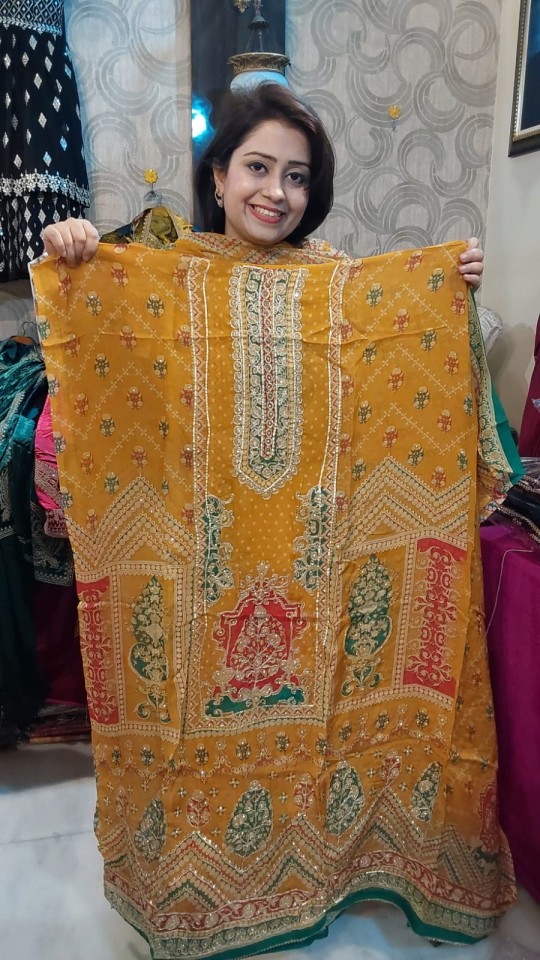 Organza Pakistani B