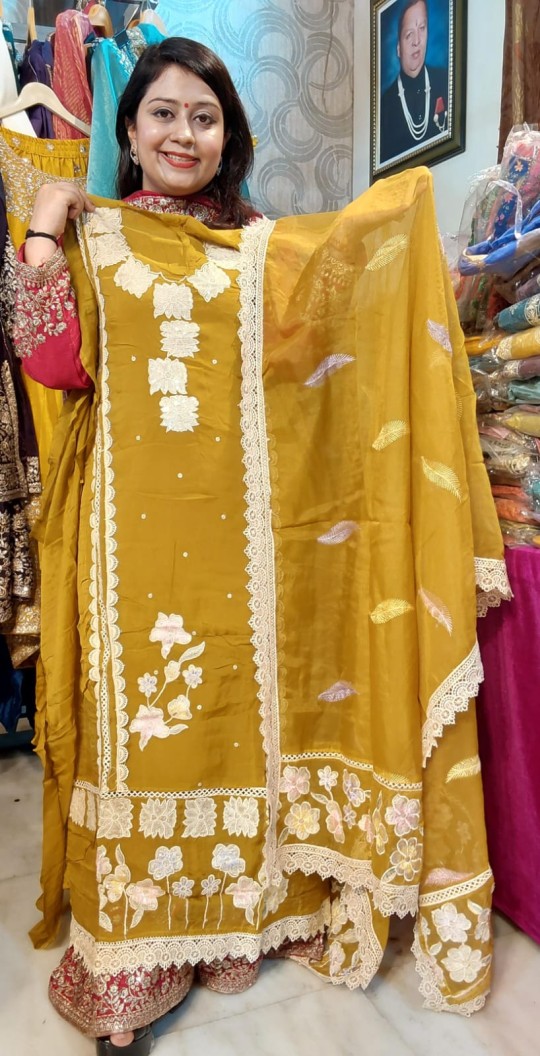 pakistani-organza-1490-114