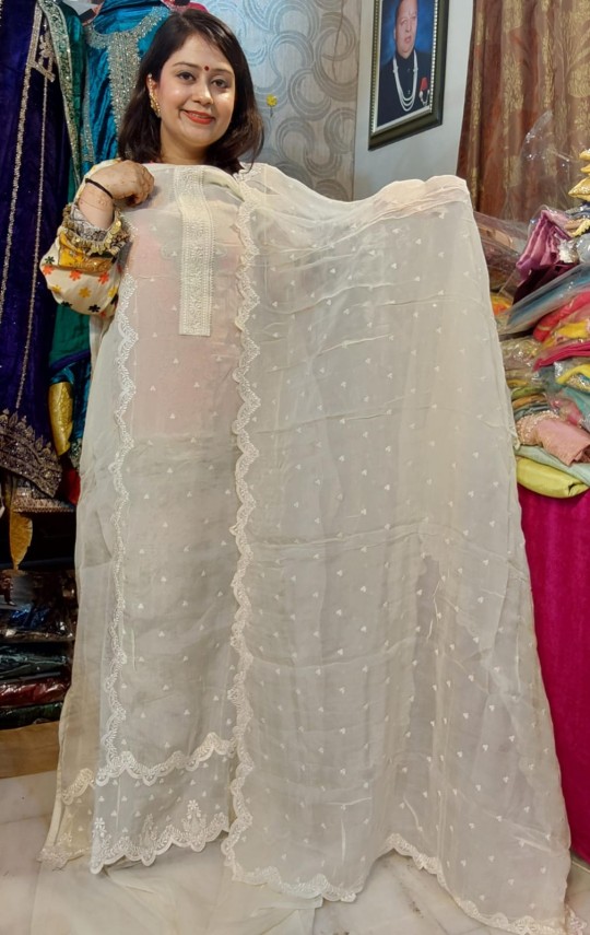 pure-organza-parsi-work-ivory